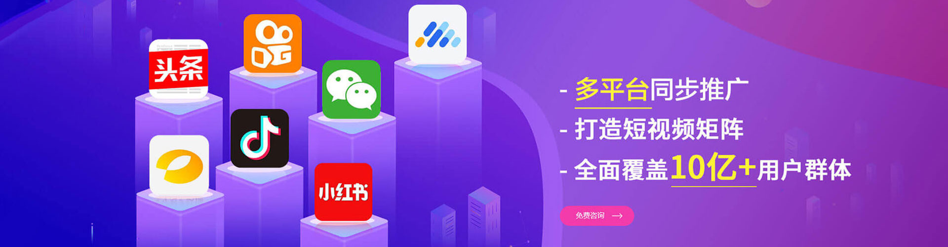 金凤网络推广竞价